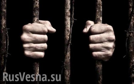 В ДНР украинский шпион получил 14 лет колонии за посты в Twitter