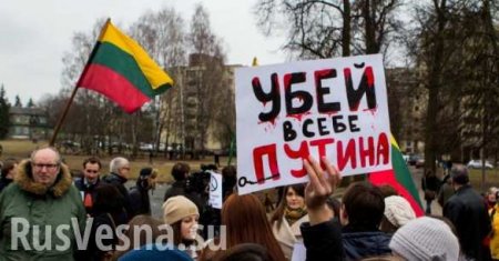 По стопам «Миротворца»: в Литве запустили сайт Vatnikas (ФОТО)