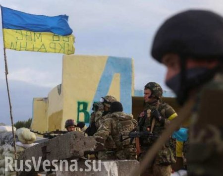 В ЛНР прокомментировали закон «о реинтеграции Донбасса»