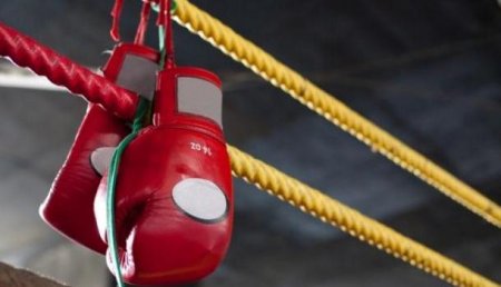В Швеции предлагают запретить занятие профессиональным боксом