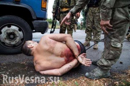 Международный уголовный суд принял 332 дела по факту применения Украиной пыток в Донбассе