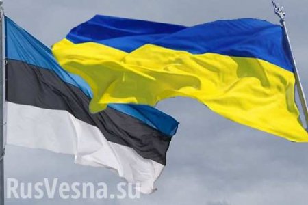 Эстония требует от Украины удалить ее из списка офшорных зон 