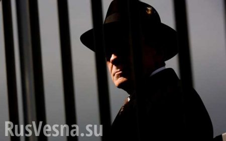 Украинские спецслужбы засылают в Донбасс своих агентов под видом военнопленных (ВИДЕО)