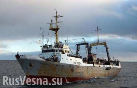 Два плота обнаружены на месте поисков судна «Восток» в Приморье
