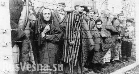 Скандал: В Израиле требуют отозвать посла из Польши за слова о холокосте