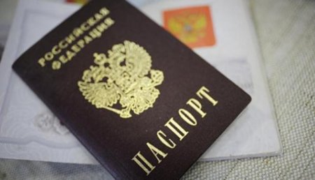 Юридический казус: В СПЧ прокомментировали ситуацию со штампами в паспортах гей-пары из Москвы