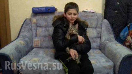 Бездомный кот спас пропавшего ребёнка от холода — подробности (+ФОТО)