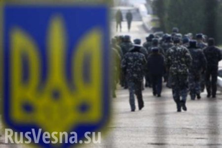 Украина: Без права на войну