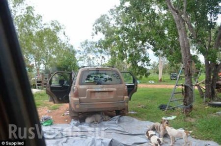 Чуть не съели: туристы застряли на крыше машины в кишащей крокодилами реке (ФОТО)