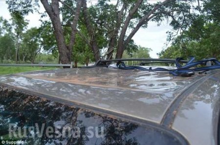 Чуть не съели: туристы застряли на крыше машины в кишащей крокодилами реке (ФОТО)