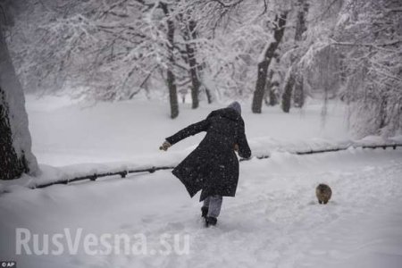 «Снежный Армагеддон»: британцы шокированы российскими снегопадами (ФОТО, ВИДЕО)
