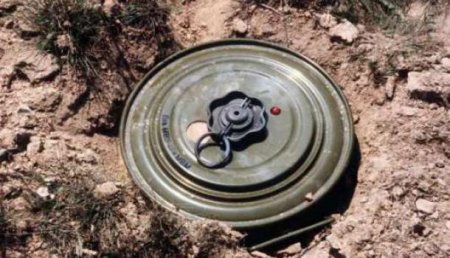 НМ ЛНР: Двое мирных жителей подорвались на мине ВСУ в Попаснянском районе