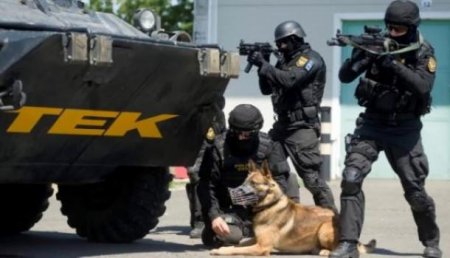 СМИ: Правоохранители Венгрии начали облавы на украинцев-нелегалов