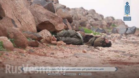 Кровавая бойня в Идлибе: Банды ИГИЛ и «Аль-Каиды» уничтожают друг друга (ФОТО 18+)
