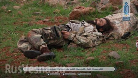 Кровавая бойня в Идлибе: Банды ИГИЛ и «Аль-Каиды» уничтожают друг друга (ФОТО 18+)