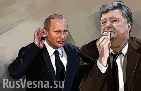 Путин и Порошенко провели переговоры по телефону