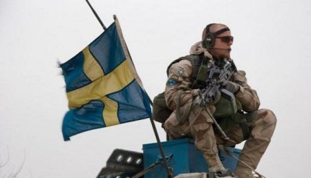 Швеция готова отправить миротворцев на Донбасс