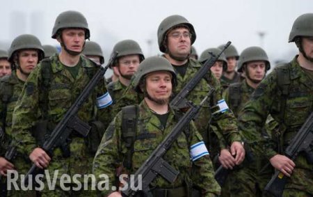 «Ёж 2018»: Эстония проведет крупнейшие за свою историю военные учения