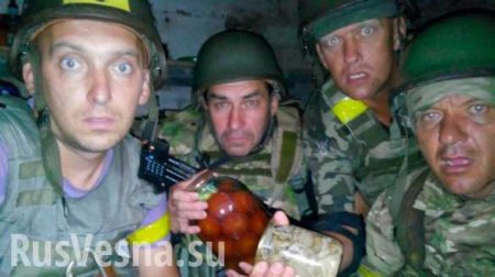 Вся правда об украинской армии: чем кормят солдат на Украине и в России (ВИДЕО)