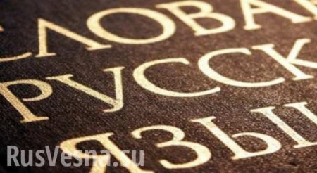ВАЖНО: На Украине признали неконституционным закон о статусе русского языка