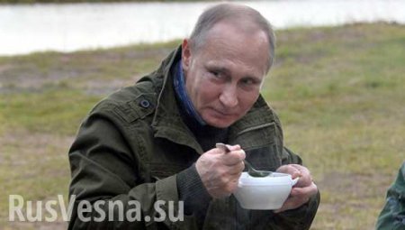 Путин рассказал, чем бы занимался, если бы не был президентом