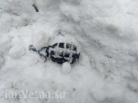 «Железный трон» Саакашвили и гранаты — что нашли в палаточном городке «Михомайдана» (ФОТО)