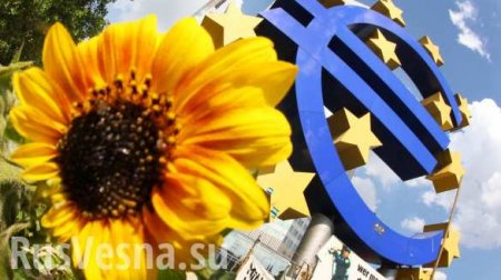 Еврокомиссия выделит €32,5 миллиона Украине в 2018 году