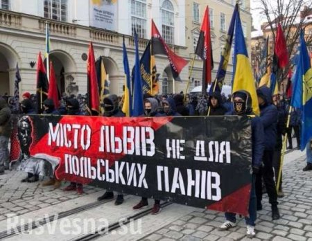 Ляхов геть! Львов — бандеровский город: украинские неонацисты провели факельный марш (ФОТО, ВИДЕО)