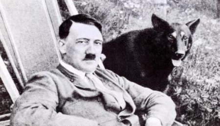 Российский учёный рассказал об идентификации останков Гитлера