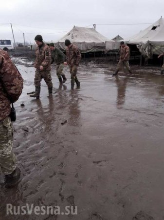 «Аспирантура» НАТО: полигон ВСУ утонул в грязи (ФОТО, ВИДЕО)