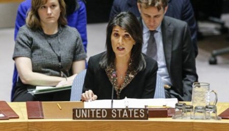 Представитель США в ООН пообещала резолюцию, «которая не позволит России заниматься контртерроризмом»