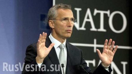 НАТО «серьезно обеспокоено» отравлением Скрипаля