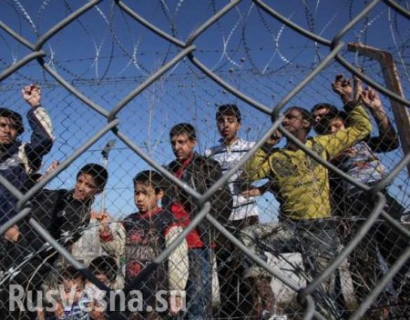 Вторжение мигрантов превратит европейцев в меньшинство в Европе, — премьер Венгрии