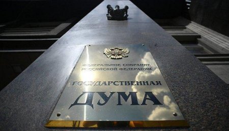 В Госдуме предложили отменить патенты для граждан ДНР и ЛНР