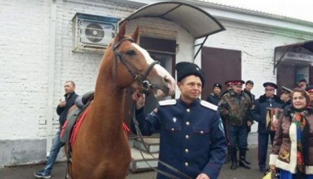 В Ростовской области есаул пришел на выборы с конем