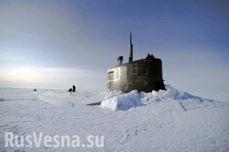 Российские Ту-142 выследили в Арктике подлодки НАТО