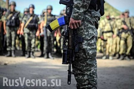 На Донбассе вступило в силу «пасхальное перемирие»