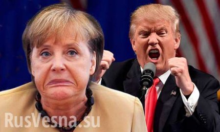 Трамп возмутился тратами Германии на «Северный поток — 2»