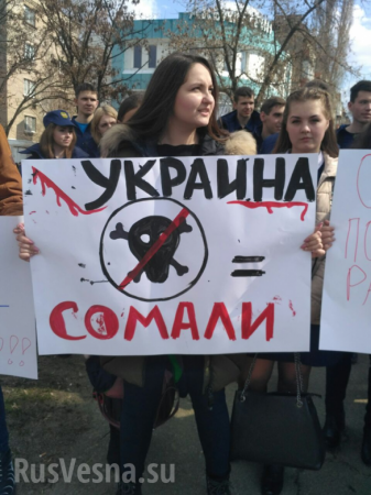 «Нет украинскому пиратству!» — в Луганске пикетируют офис ОБСЕ с требованием освободить российских моряков (ФОТО, ВИДЕО)