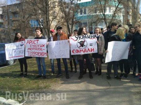 «Нет украинскому пиратству!» — в Луганске пикетируют офис ОБСЕ с требованием освободить российских моряков (ФОТО, ВИДЕО)