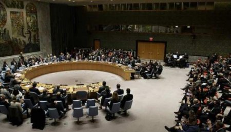 Девять стран призвали созвать экстренное заседание СБ ООН