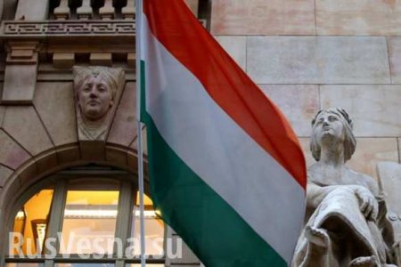 «Это лавина»: Венгрия угрожает существованию Европы