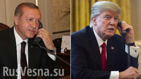 Эрдоган и Трамп обсудили обстановку в Сирии