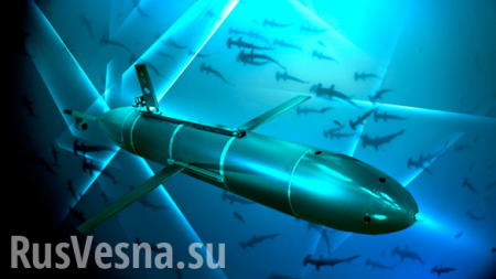 Армия Британии боится скрытного удара российских подводных роботов, — NI