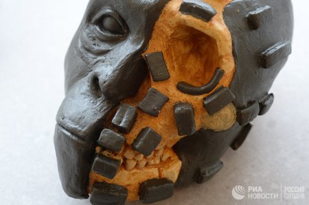 Российские ученые «оживили» древних людей, вымерших триста тысяч лет назад
