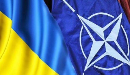 Нежизнеспособная идея членства в НАТО раскалывает Украину, — Виктор Медведчук