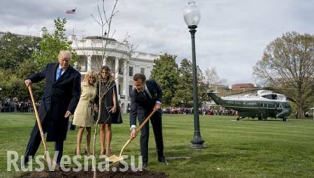 У Белого дома пропало посаженное Трампом и Макроном деревце (ФОТО, ВИДЕО)