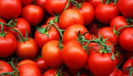 Россия снимает ограничения по количеству поставщиков томатов из Турции