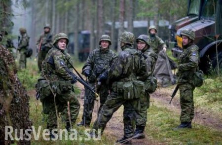 Учения «Ёж» в Эстонии: как НАТО спасало демократию от казаков на ездовых медведях