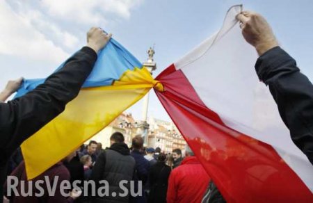Гиена Европы нашла себе пищу: станет ли Западная Украина «Восточной Малопольшей»?
